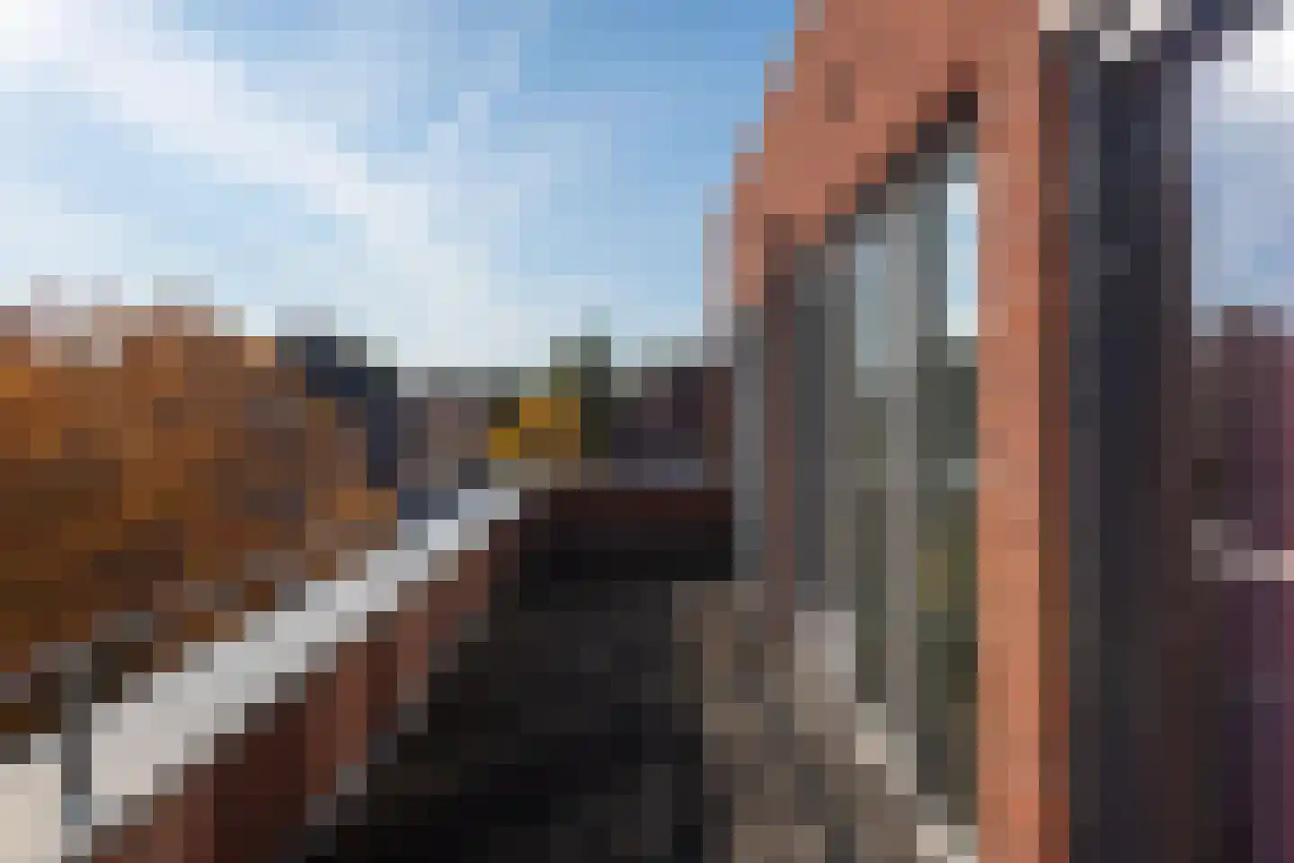 Friezenstraat 3 Maastricht thumbnail 21