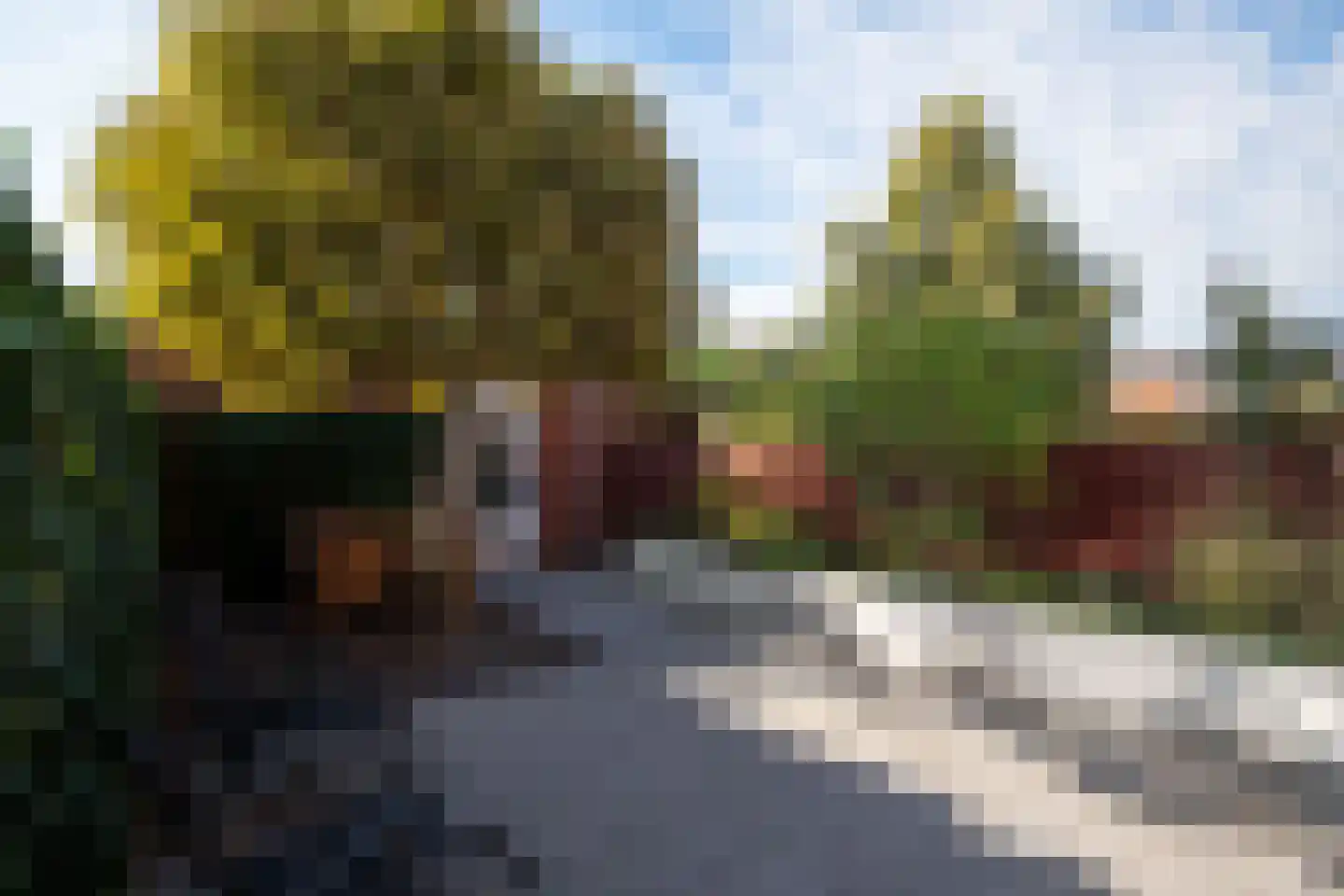 Friezenstraat 3 Maastricht thumbnail 23