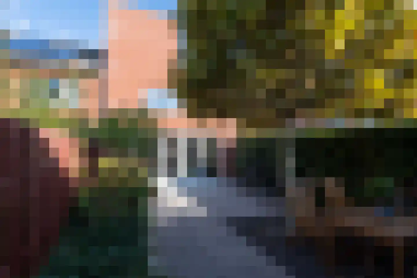 Friezenstraat 3 Maastricht thumbnail 25