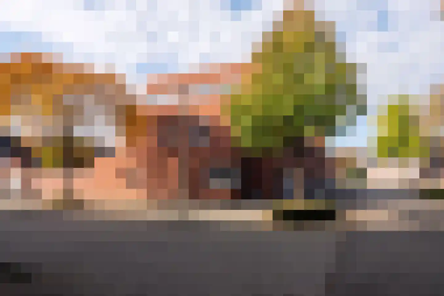 Friezenstraat 3 Maastricht thumbnail 26