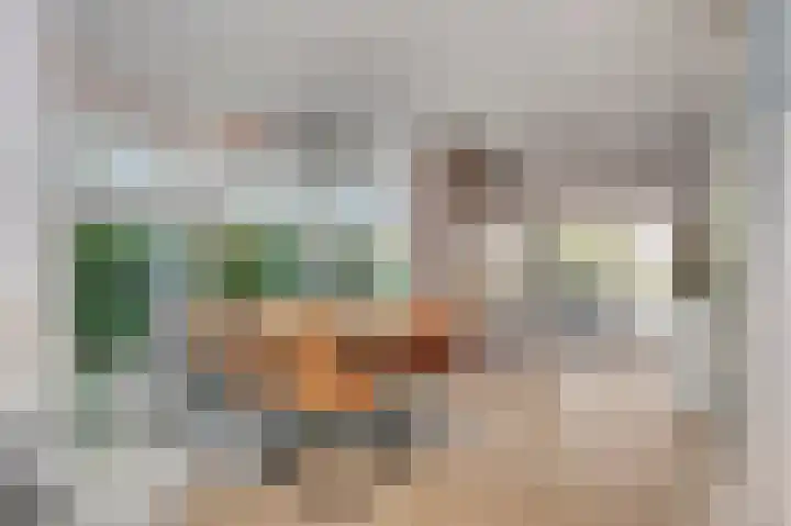 Friezenstraat 5 Sittard thumbnail 10