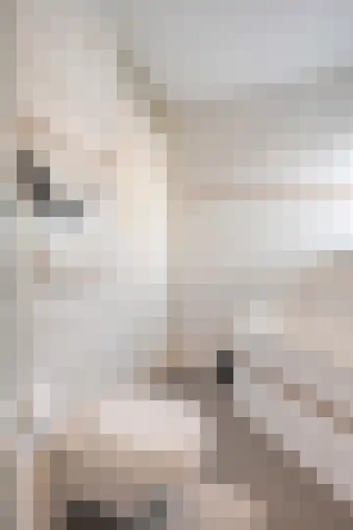 Friezenstraat 5 Sittard thumbnail 31