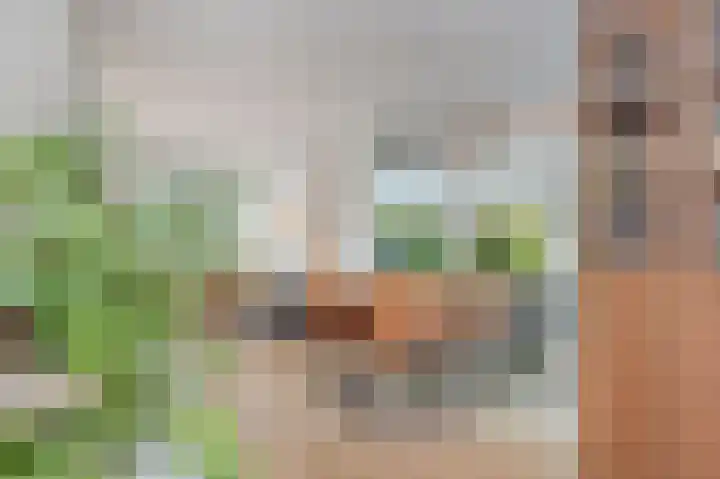 Friezenstraat 5 Sittard thumbnail 7