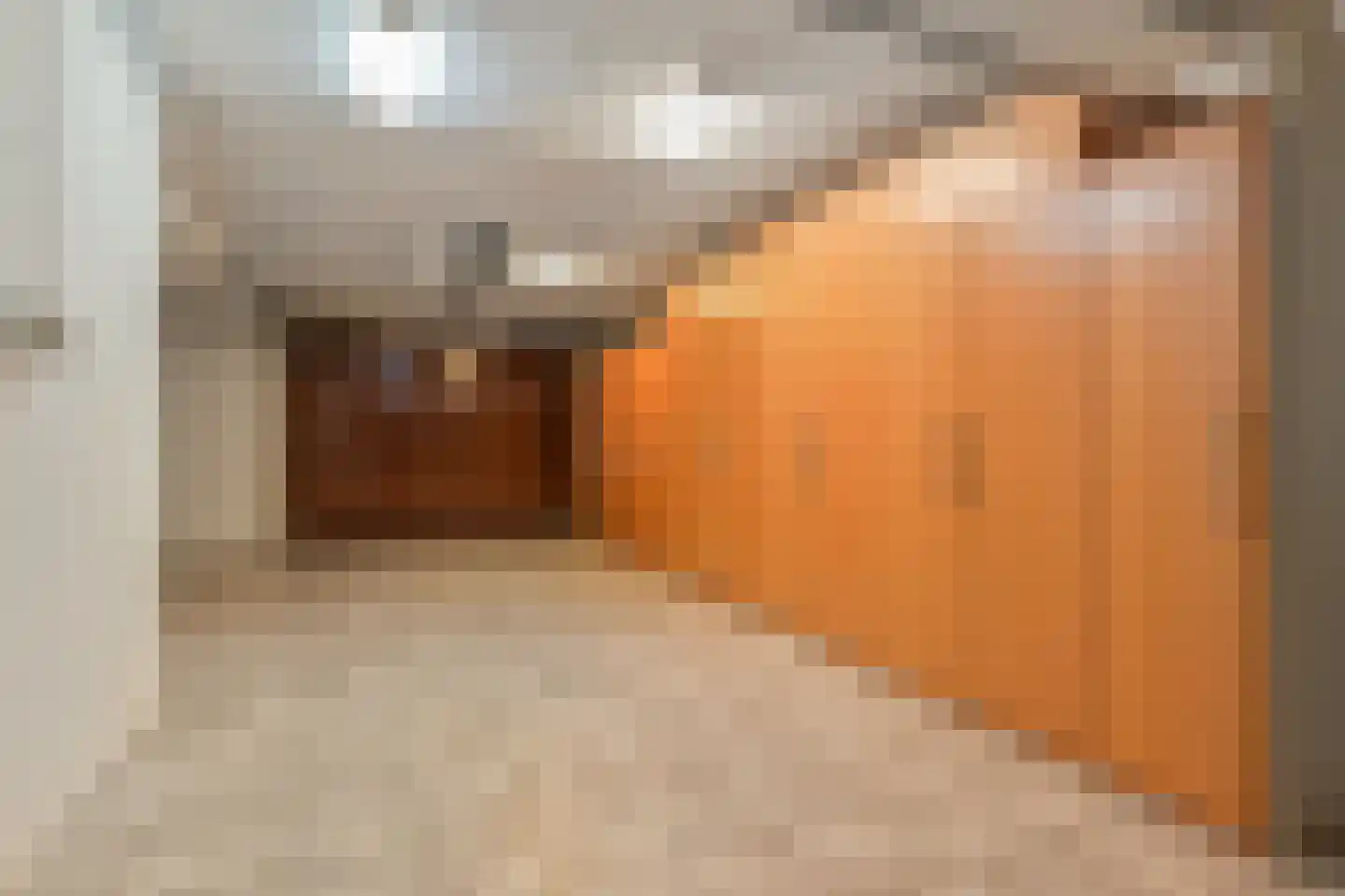 Frijdastraat 27 Rijswijk thumbnail 12