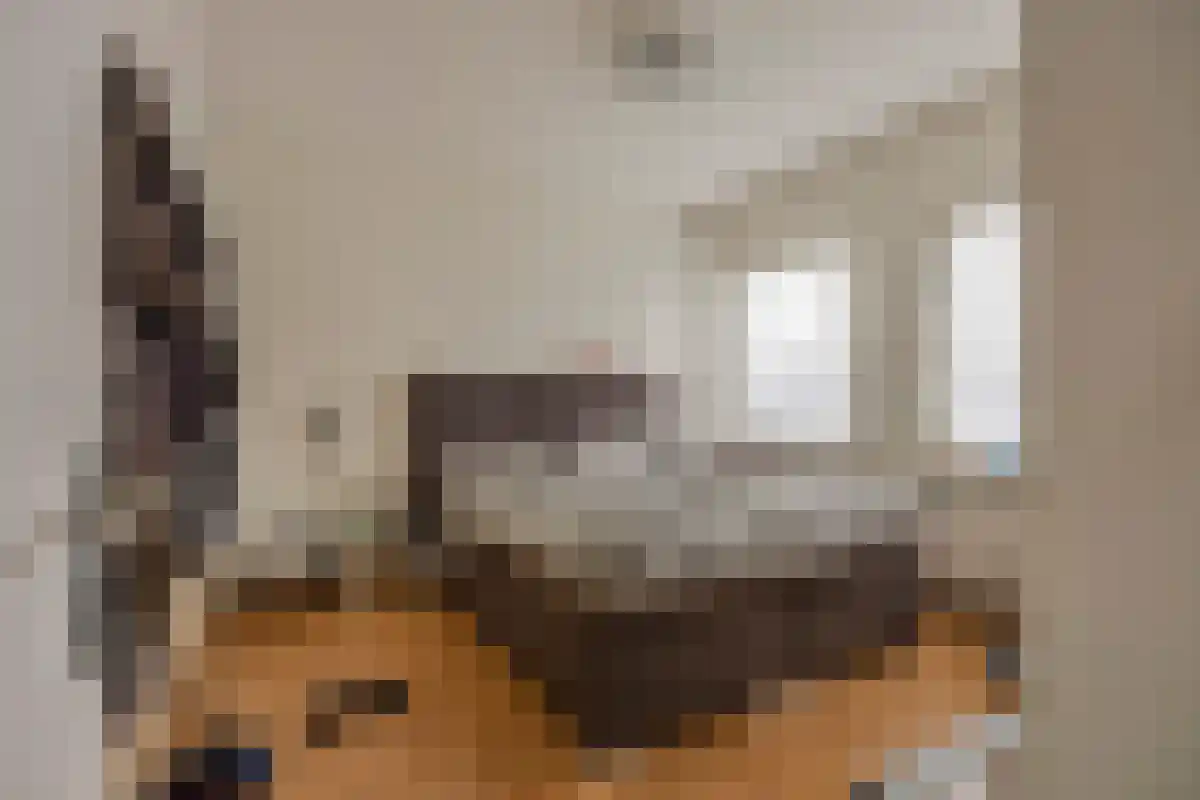 Frijdastraat 31 Rijswijk thumbnail 18