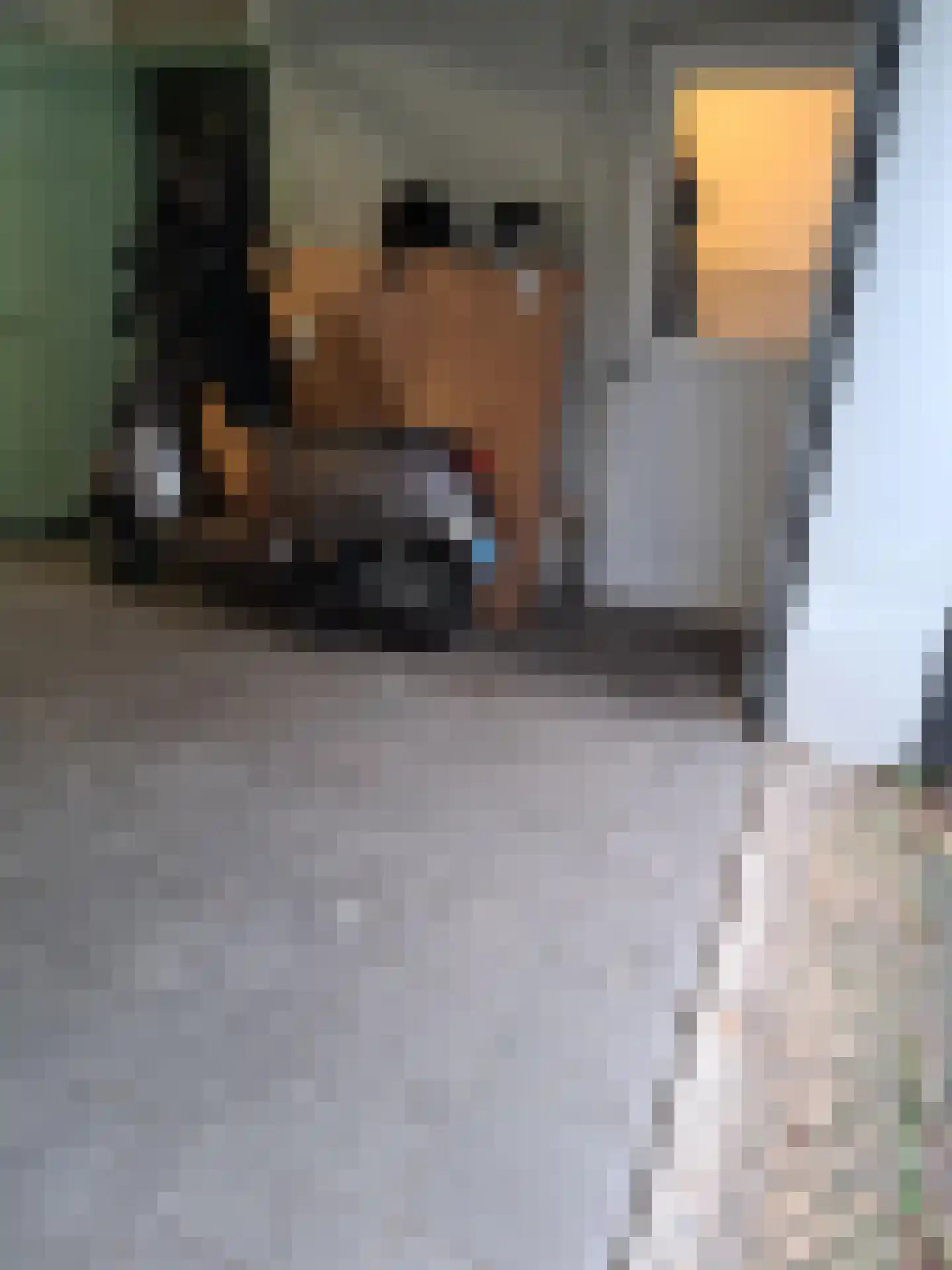 Frijdastraat 31 Rijswijk thumbnail 22