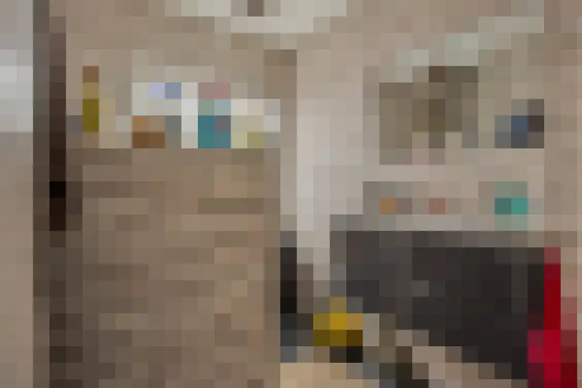 Frijdastraat 31 Rijswijk thumbnail 22