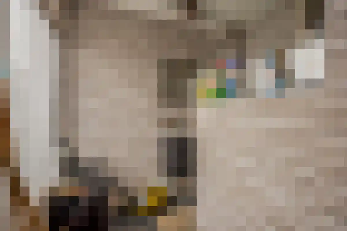 Frijdastraat 31 Rijswijk thumbnail 24