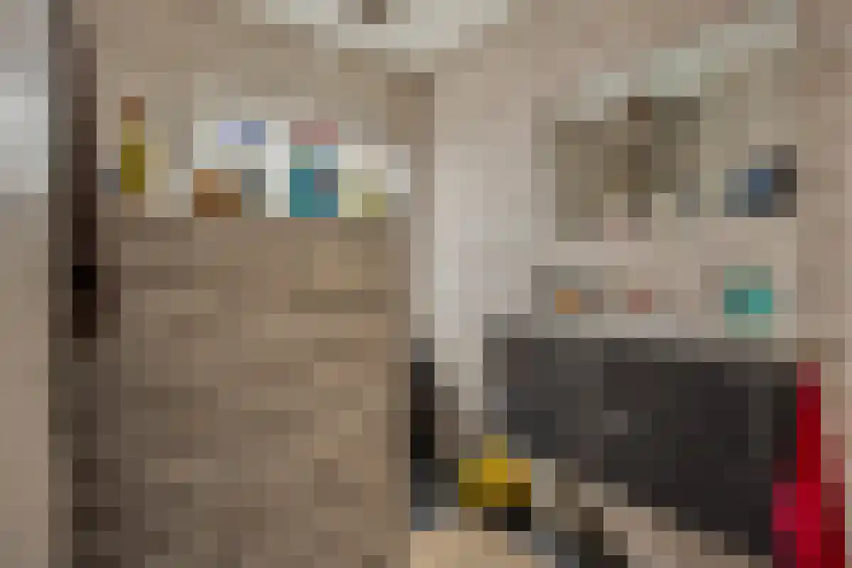 Frijdastraat 31 Rijswijk thumbnail 24
