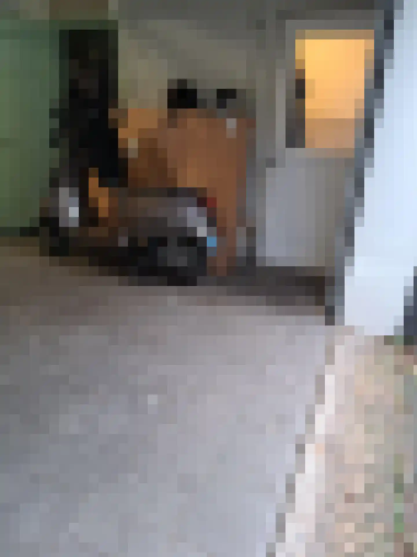 Frijdastraat 31 Rijswijk thumbnail 25