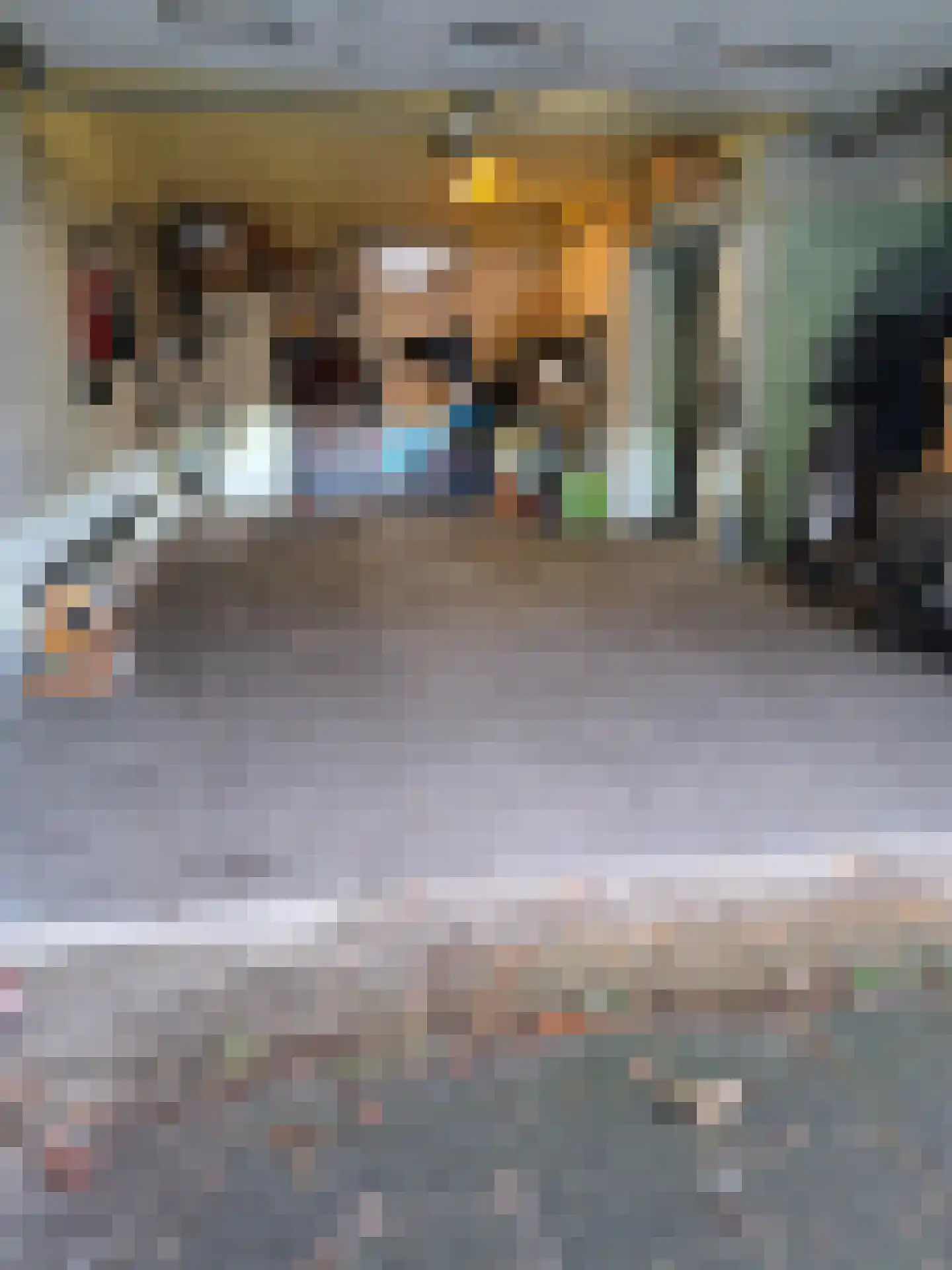 Frijdastraat 31 Rijswijk thumbnail 26