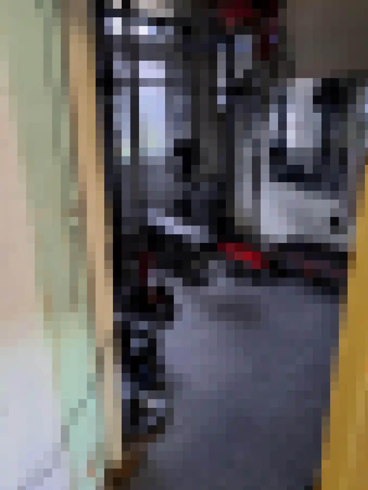 Frijdastraat 31 Rijswijk thumbnail 27