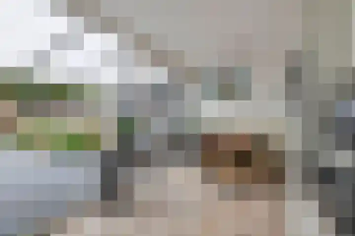 Frijnheuvel 68 Druten thumbnail 10