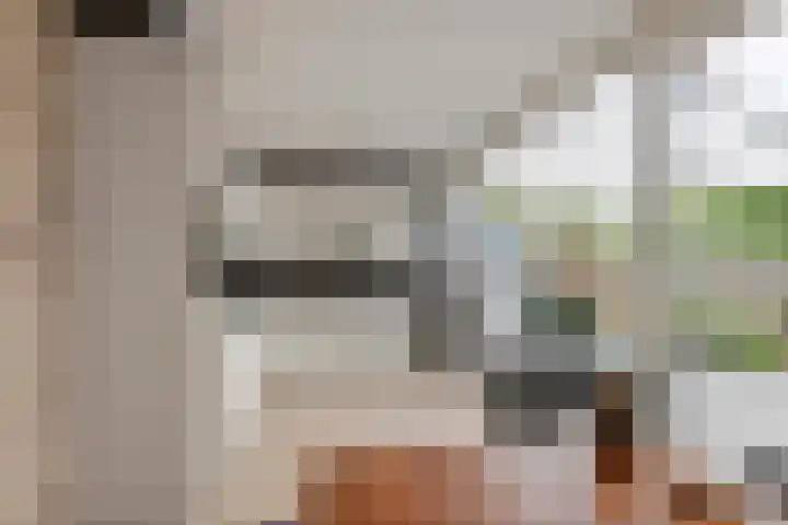 Frijnheuvel 68 Druten thumbnail 11