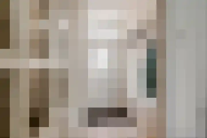 Frijnheuvel 68 Druten thumbnail 12