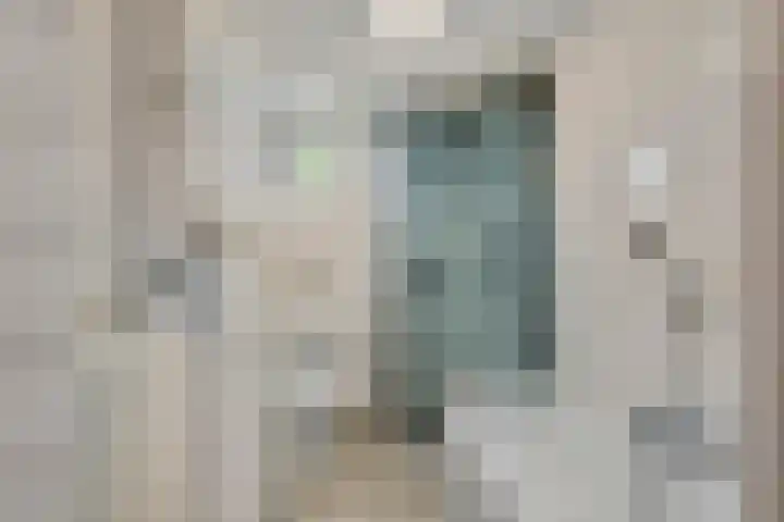 Frijnheuvel 68 Druten thumbnail 17