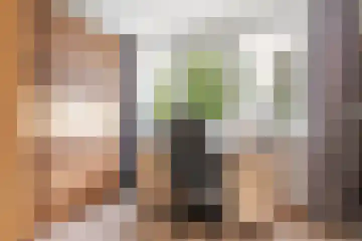 Frijnheuvel 68 Druten thumbnail 22