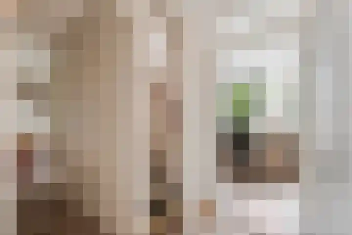 Frijnheuvel 68 Druten thumbnail 23