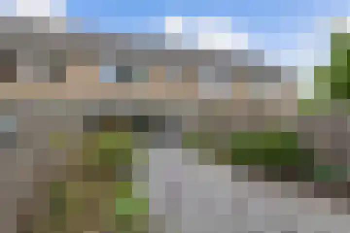 Frijnheuvel 68 Druten thumbnail 27