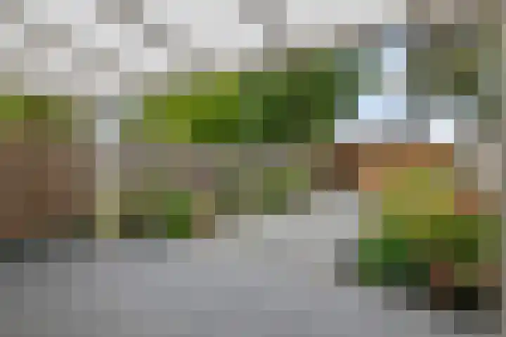Frijnheuvel 68 Druten thumbnail 28