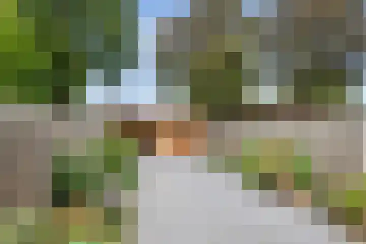 Frijnheuvel 68 Druten thumbnail 29