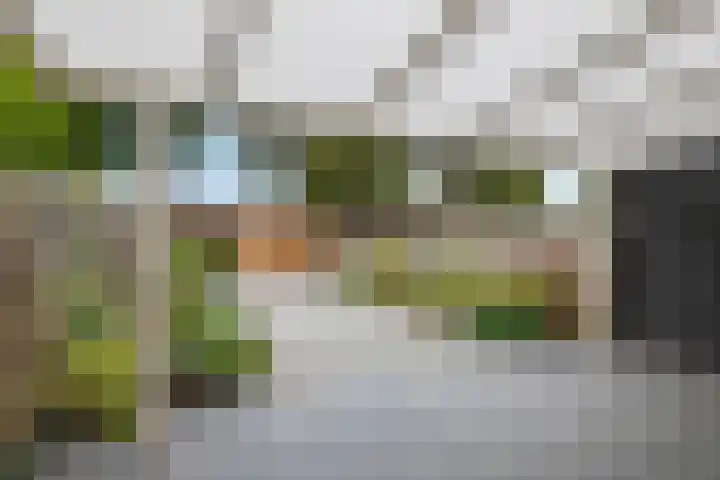 Frijnheuvel 68 Druten foto 3