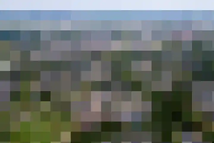 Frijnheuvel 68 Druten thumbnail 34
