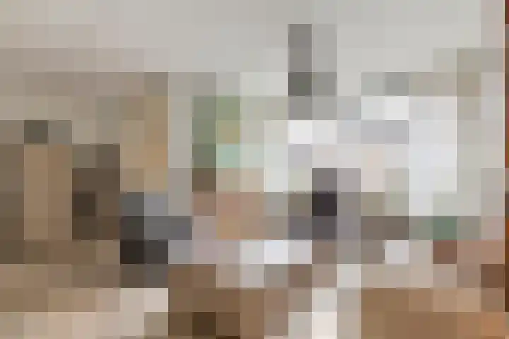Frijnheuvel 68 Druten thumbnail 5