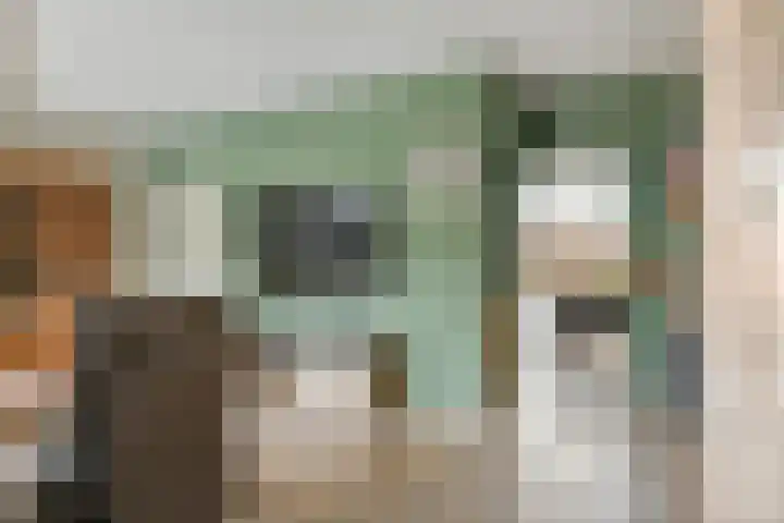 Frijnheuvel 68 Druten thumbnail 8