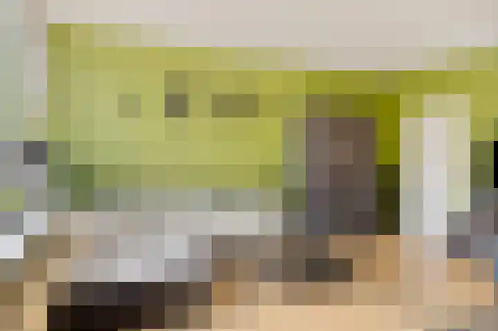 Frijnheuvel 7 Druten thumbnail 11