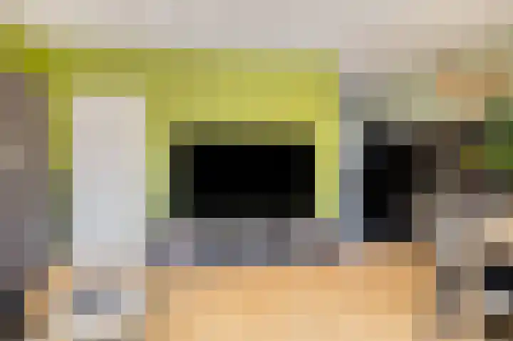 Frijnheuvel 7 Druten thumbnail 13