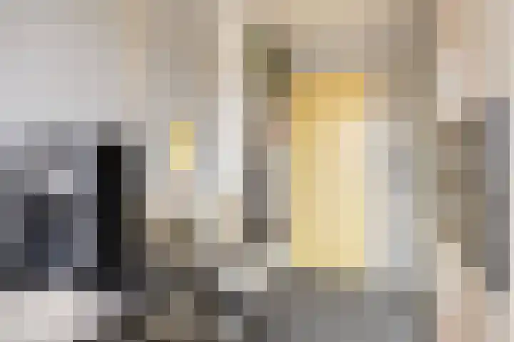 Frijnheuvel 7 Druten thumbnail 15