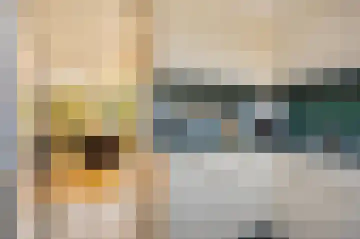 Frijnheuvel 7 Druten thumbnail 16