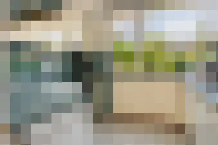 Frijnheuvel 7 Druten thumbnail 18