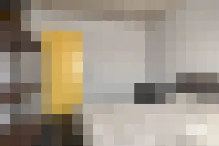 Frijnheuvel 7 Druten thumbnail 21