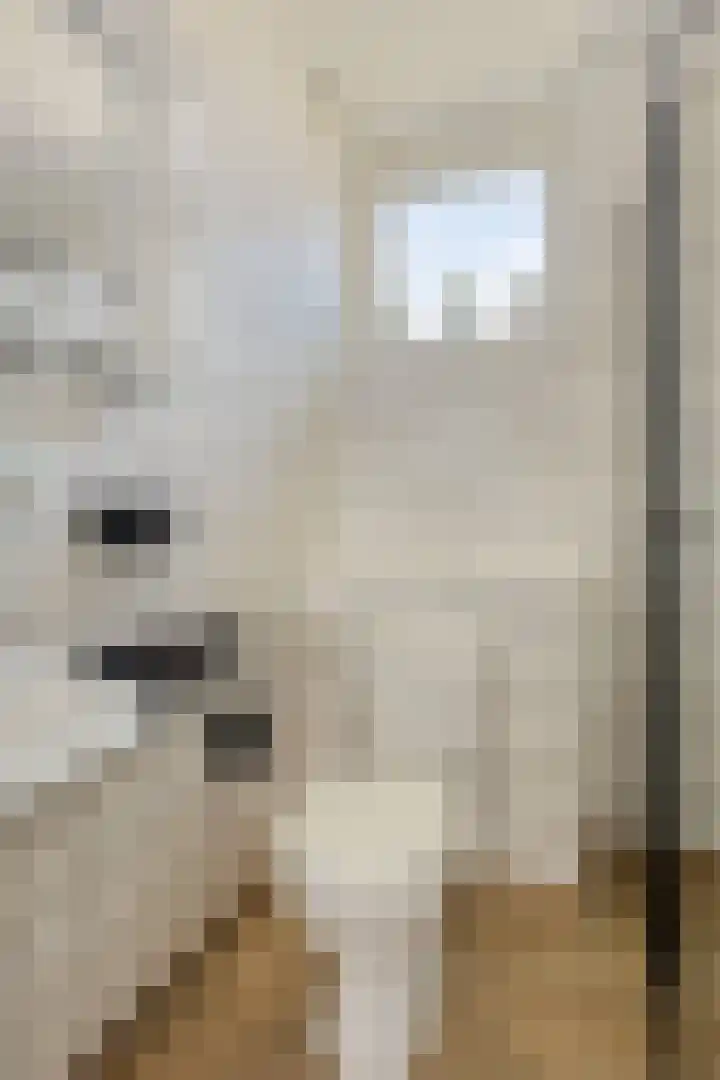 Frijnheuvel 7 Druten thumbnail 24