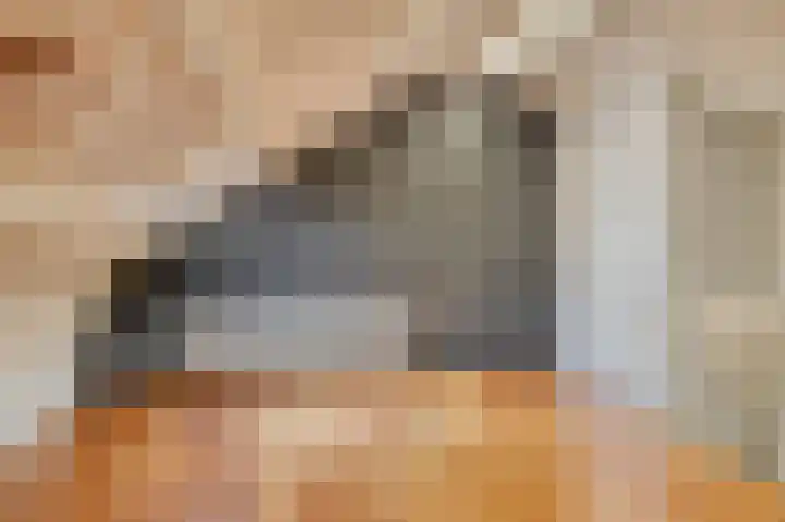 Frijnheuvel 7 Druten thumbnail 27