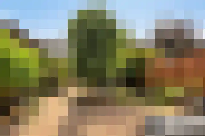 Frijnheuvel 7 Druten thumbnail 30