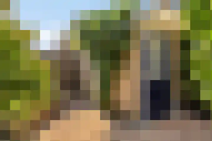 Frijnheuvel 7 Druten thumbnail 31