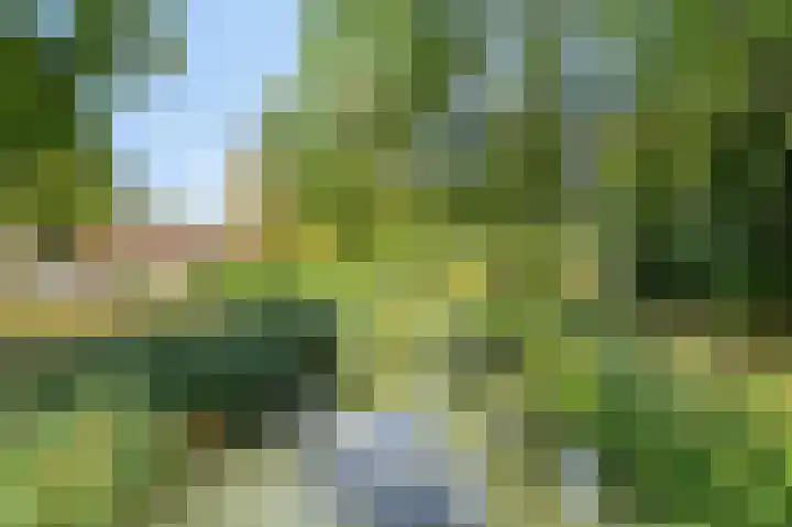 Frijnheuvel 7 Druten thumbnail 34