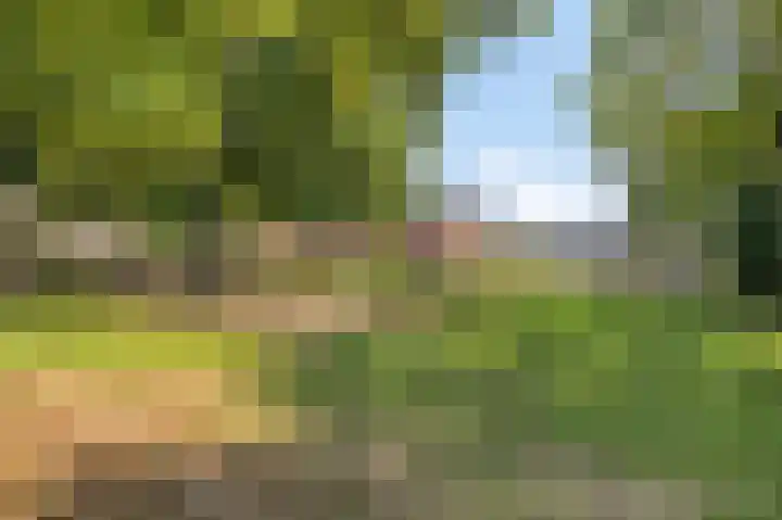 Frijnheuvel 7 Druten thumbnail 35