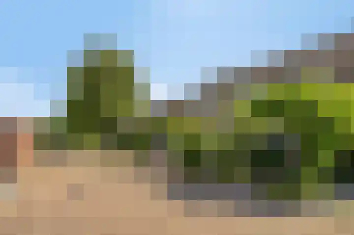 Frijnheuvel 7 Druten thumbnail 4