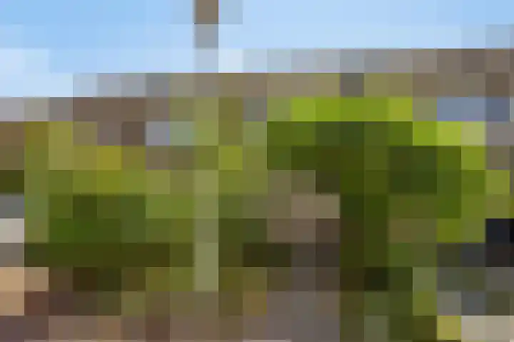 Frijnheuvel 7 Druten thumbnail 5