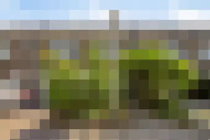 Frijnheuvel 7 Druten thumbnail 6