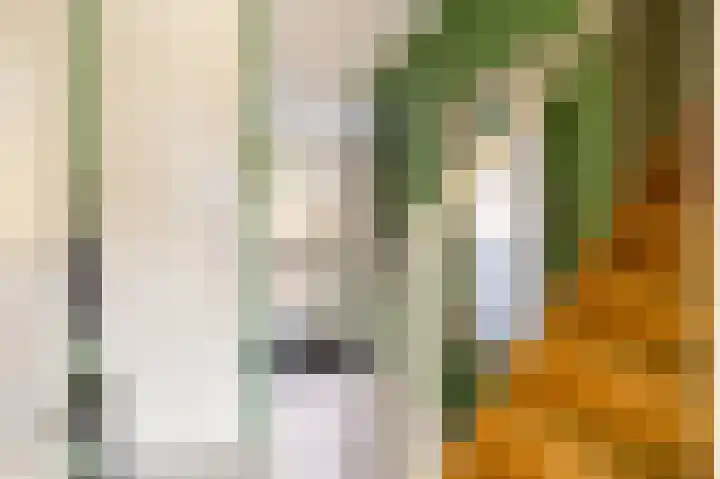 Frijnheuvel 7 Druten thumbnail 7