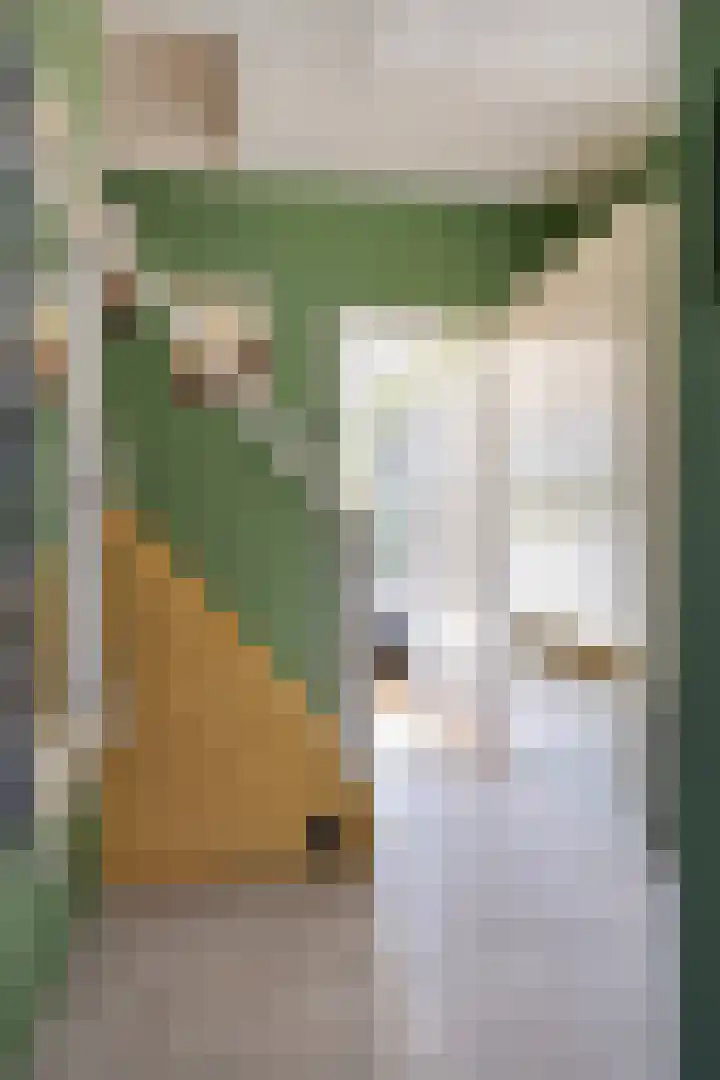 Frijnheuvel 7 Druten thumbnail 8