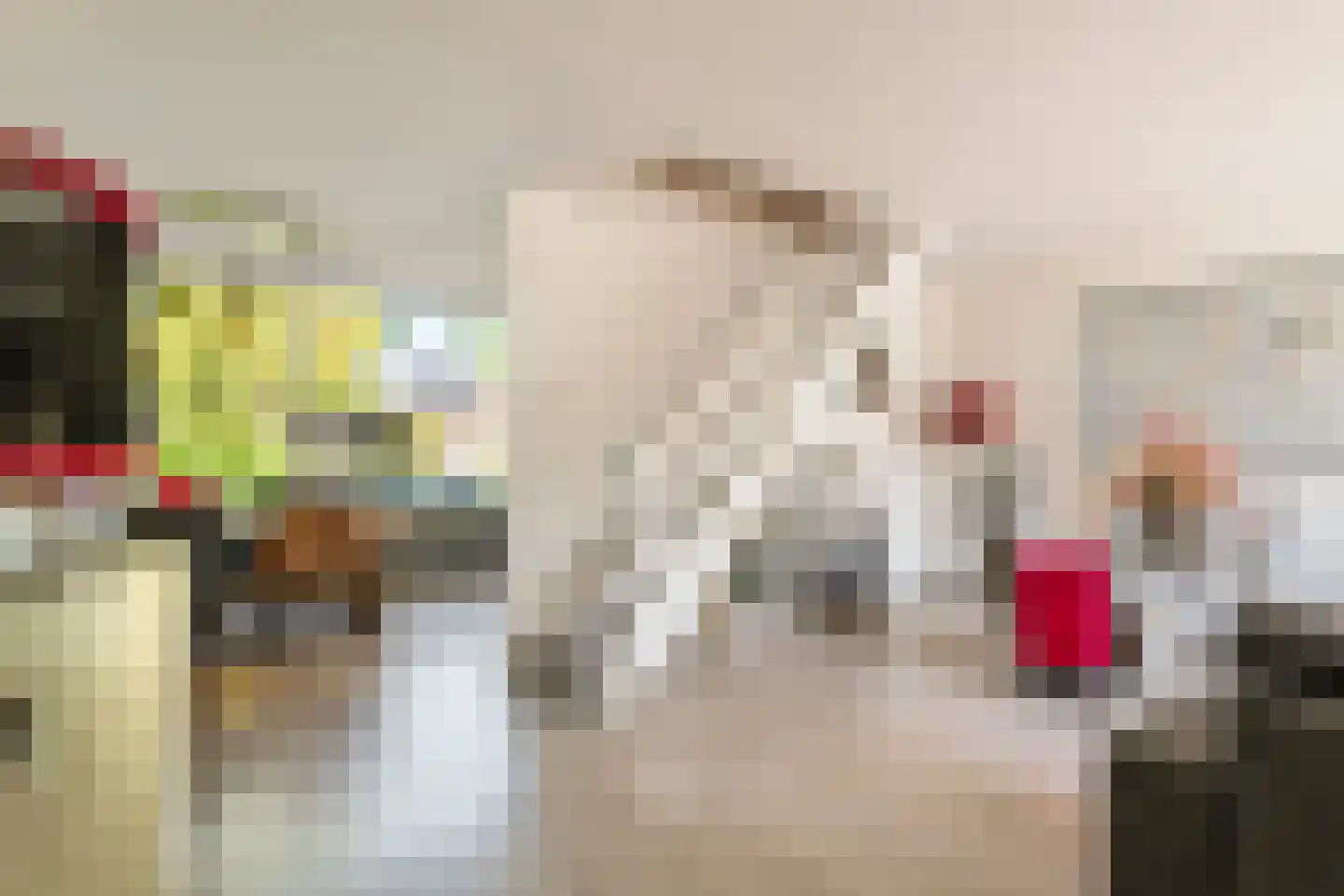 Frijnheuvel 70 Druten thumbnail 13