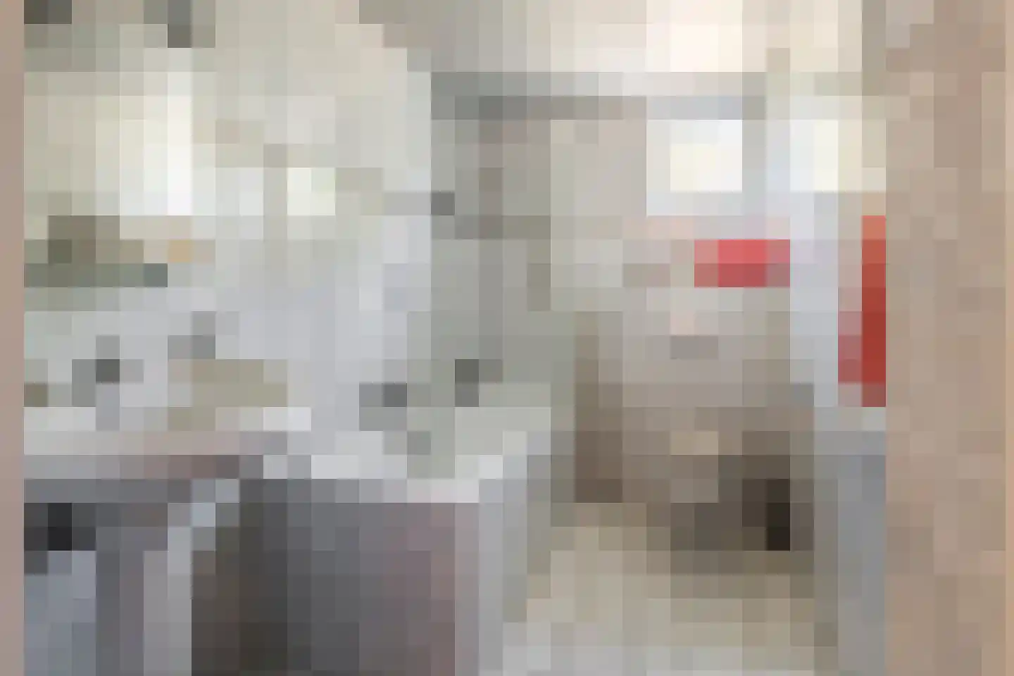 Frijnheuvel 70 Druten thumbnail 20