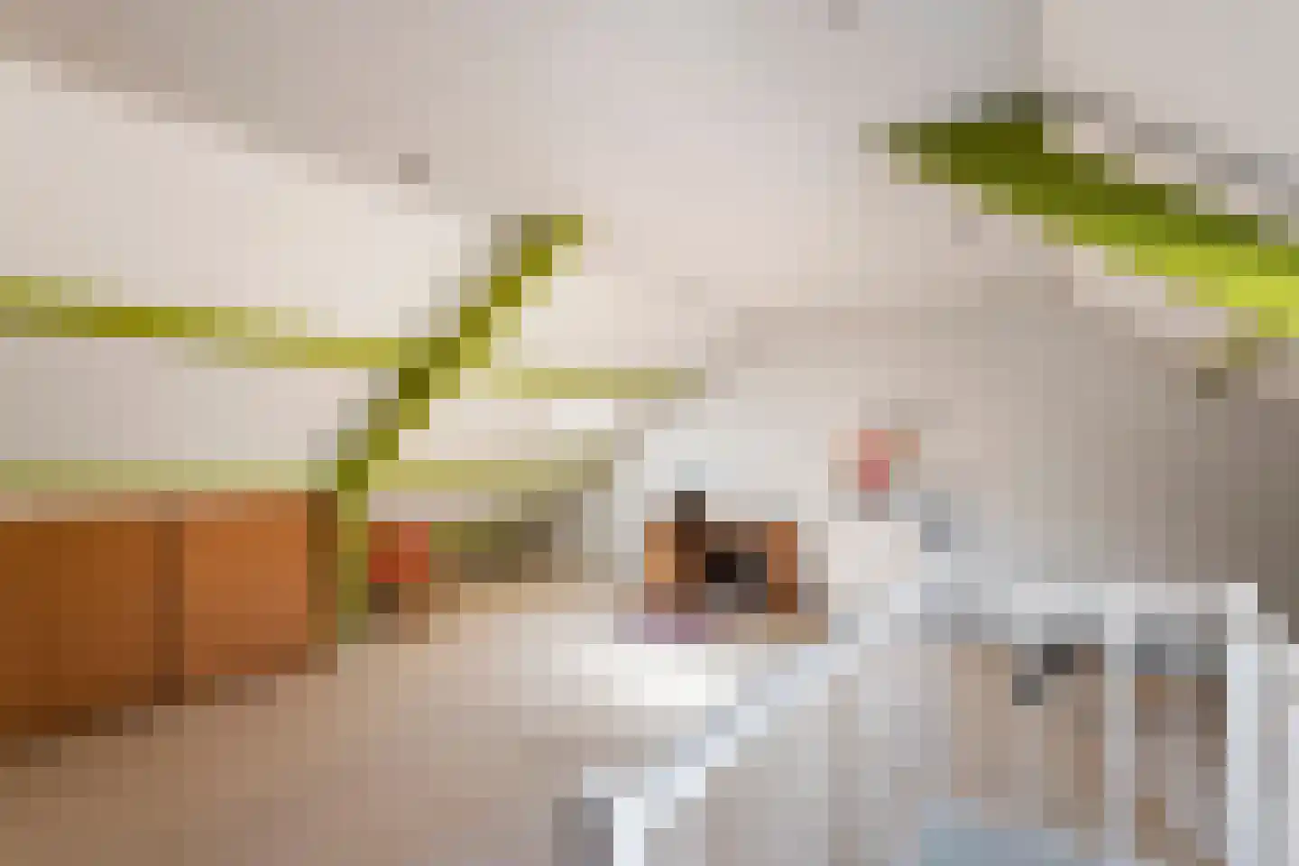 Frijnheuvel 70 Druten thumbnail 23