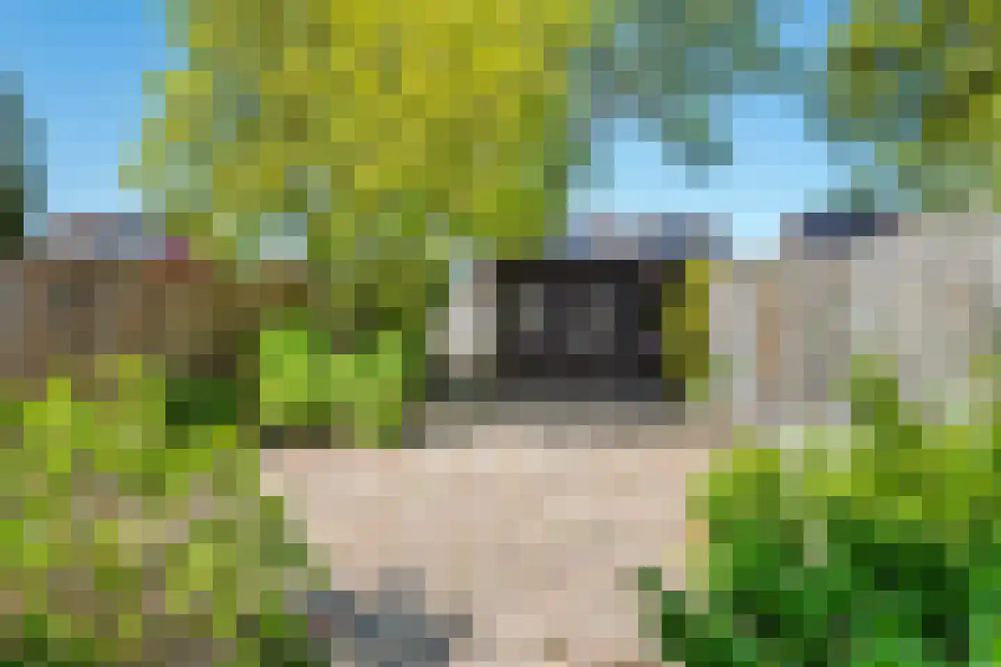 Frijnheuvel 70 Druten thumbnail 26